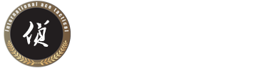 武汉调查公司